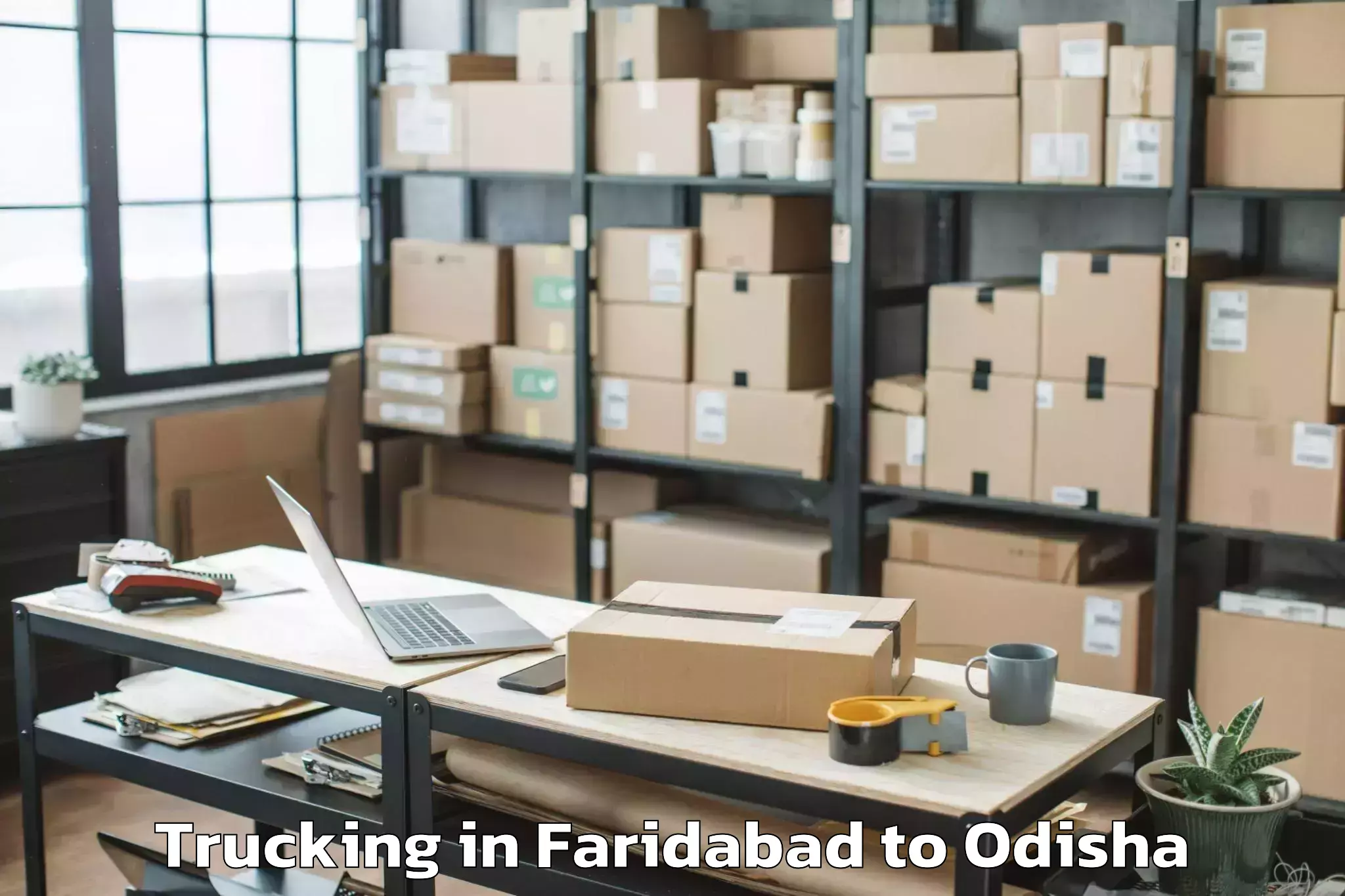 Top Faridabad to Bangiriposi Trucking Available